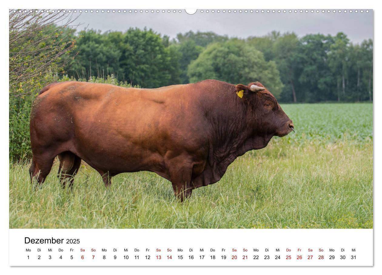 Bild: 9783435348459 | Alte Nutztierrassen 2025 (hochwertiger Premium Wandkalender 2025...