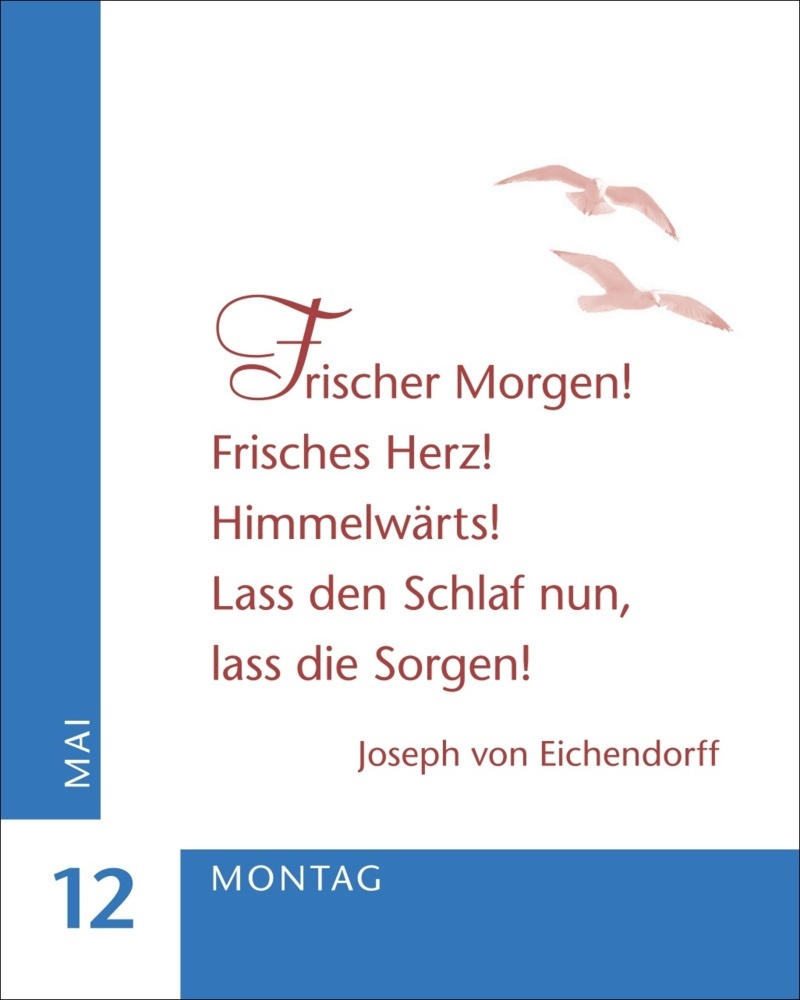 Bild: 9783840034183 | Ein Jahr der Gelassenheit Mini-Geschenkkalender 2025 | Artel | 380 S.