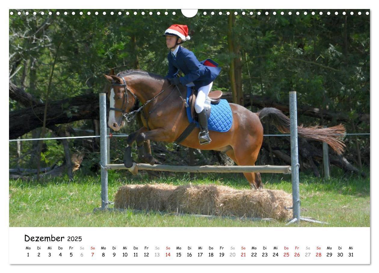 Bild: 9783435606481 | Pony Springreiten (Wandkalender 2025 DIN A3 quer), CALVENDO...