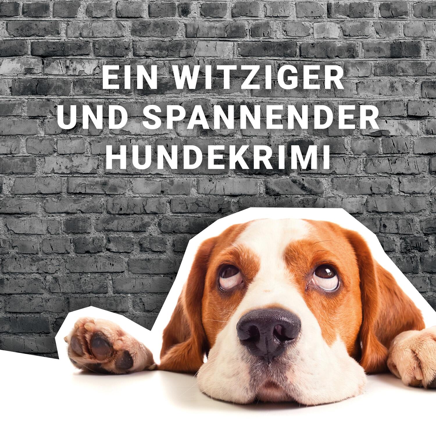 Bild: 9783986601003 | Ein Beagle kommt selten allein (Band 1) | Megan McGary | Taschenbuch