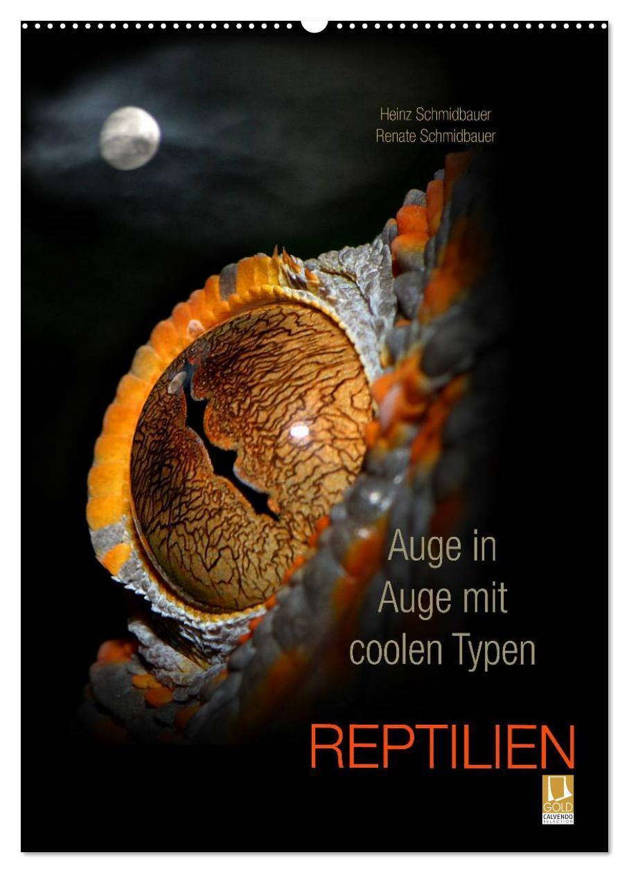 Cover: 9783457015315 | Auge in Auge mit coolen Typen - REPTILIEN (Wandkalender 2025 DIN A2...