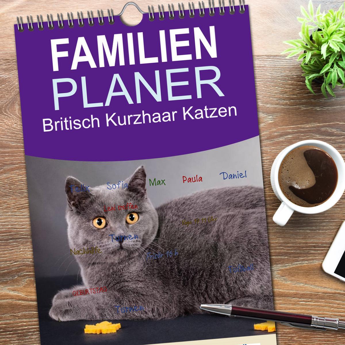 Bild: 9783457111734 | Familienplaner 2025 - Britisch Kurzhaar Katzen mit 5 Spalten...