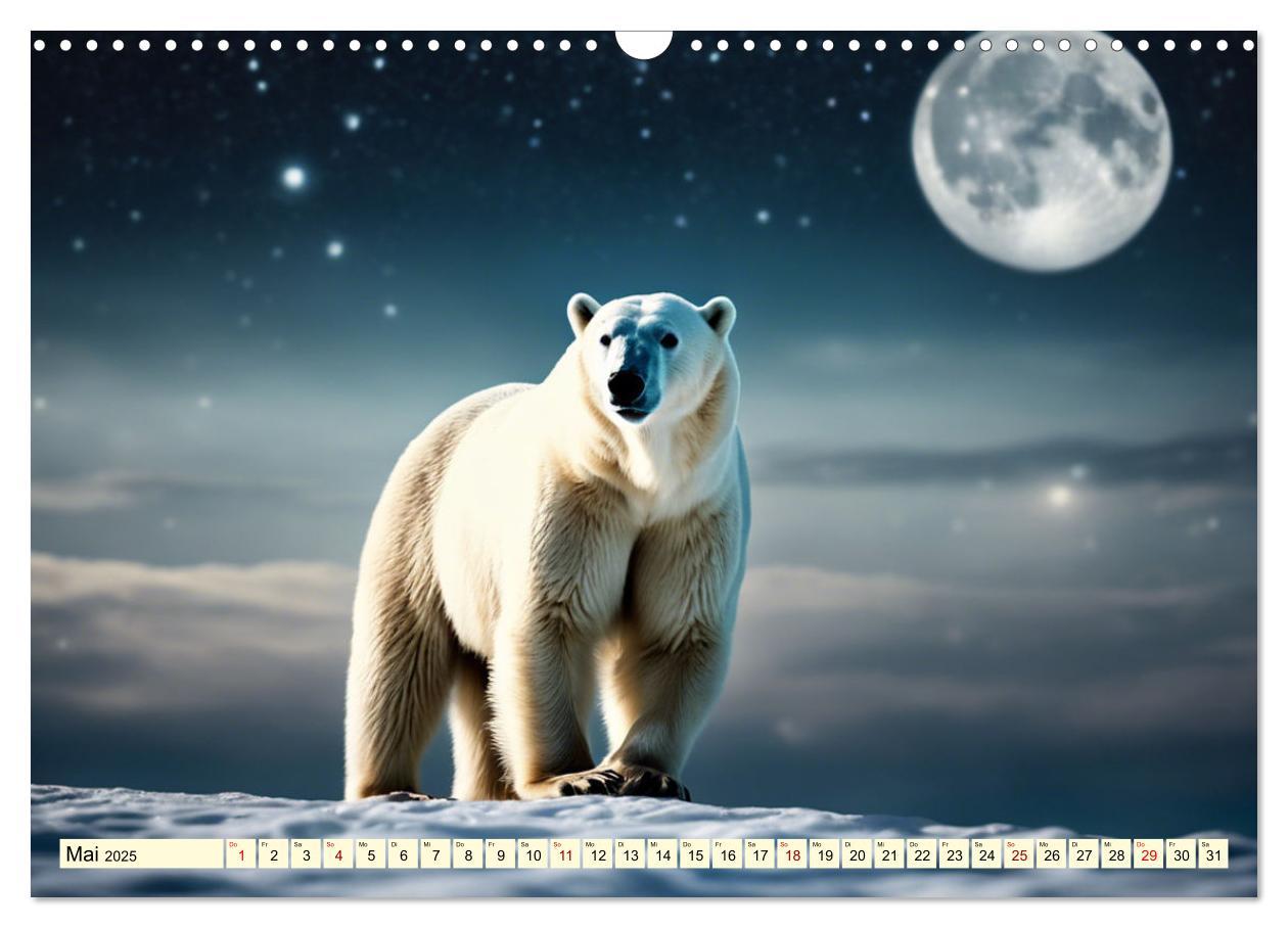 Bild: 9783383819988 | Eisbären im Fokus (Wandkalender 2025 DIN A3 quer), CALVENDO...