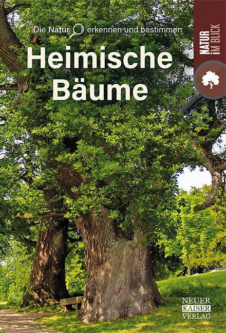 Cover: 9783846805015 | Bäume | Natur im Blick | Taschenbuch | 64 S. | Deutsch | 2022