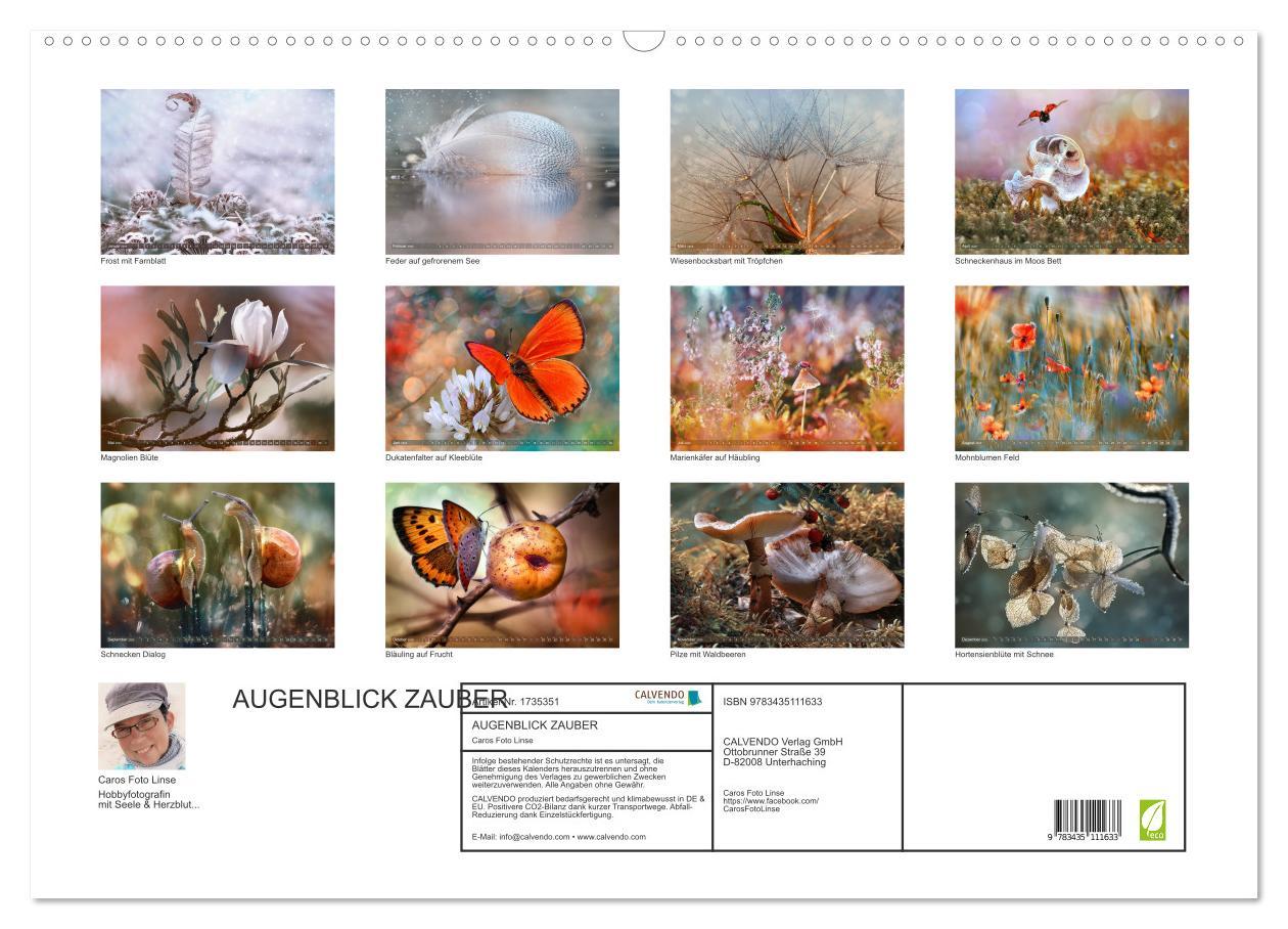 Bild: 9783435111633 | AUGENBLICK ZAUBER (Wandkalender 2025 DIN A2 quer), CALVENDO...