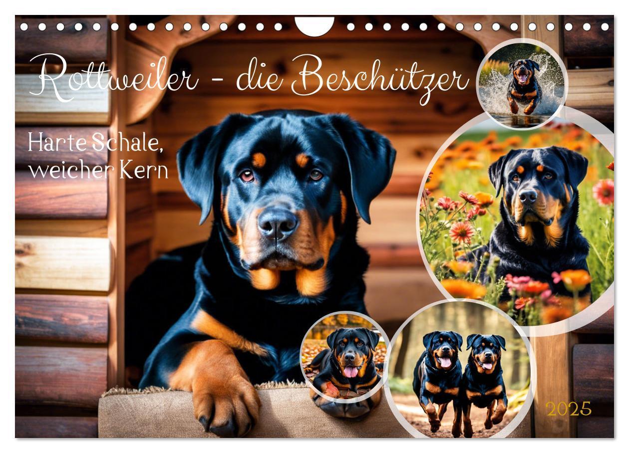 Cover: 9783457128633 | Rottweiler - die Beschützer (Wandkalender 2025 DIN A4 quer),...