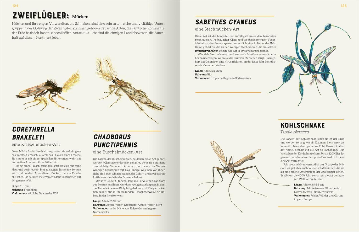 Bild: 9783845857534 | Das große Lexikon der Insekten | Jules Howard | Buch | 160 S. | 2024