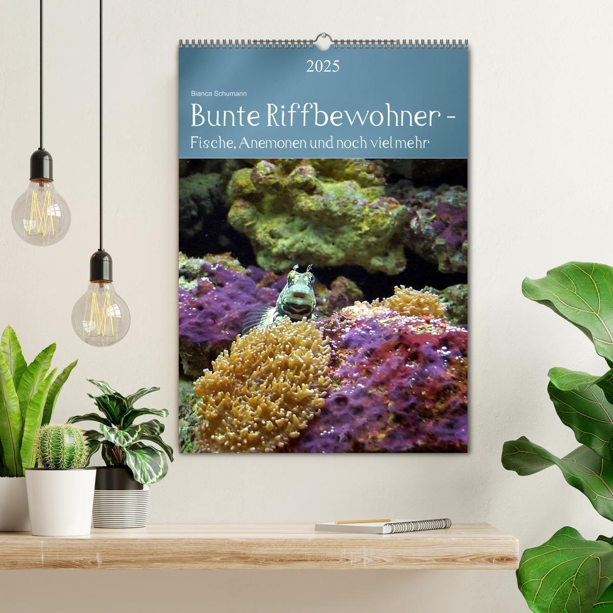 Bild: 9783457060155 | Bunte Riffbewohner - Fische, Anemonen und noch viel mehr...