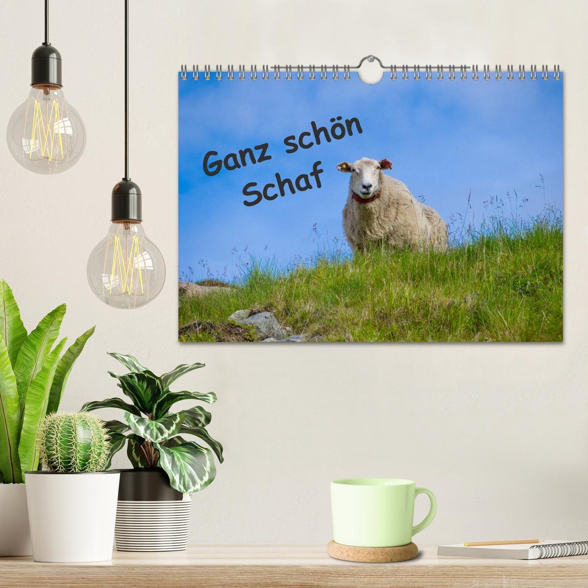 Bild: 9783435524099 | Ganz schön Schaf (Wandkalender 2025 DIN A4 quer), CALVENDO...