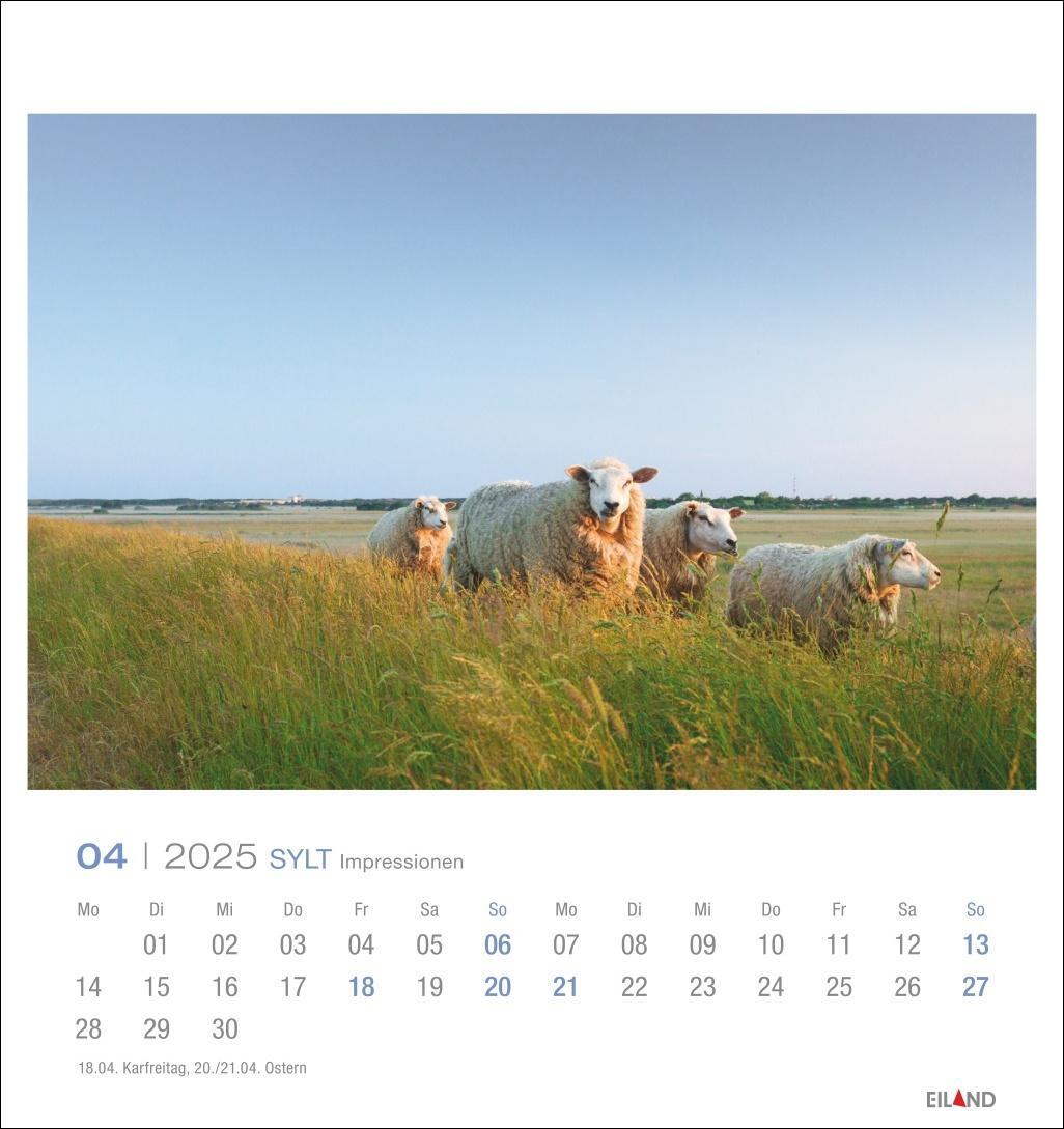 Bild: 9783964023353 | Sylt Impressionen Postkartenkalender 2025 | Hans Jessel | Kalender