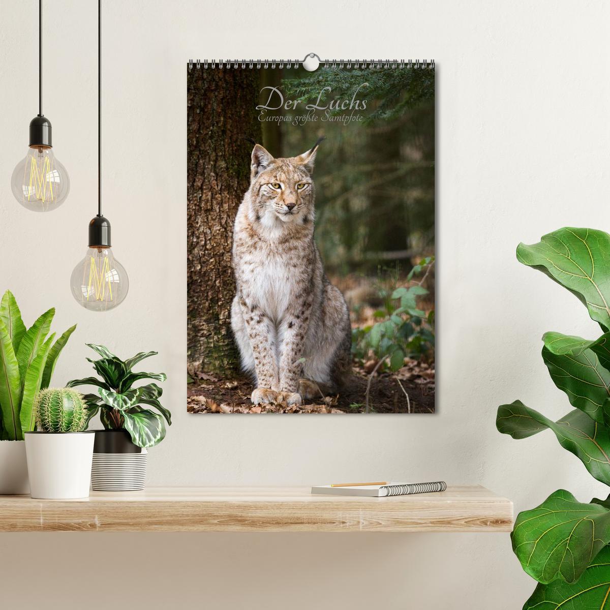 Bild: 9783457007044 | Der Luchs - Europas größte Samtpfote (Wandkalender 2025 DIN A3...