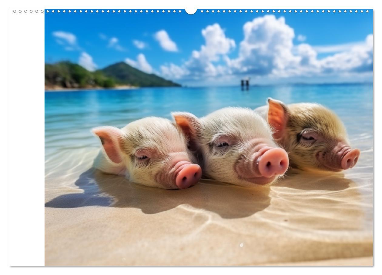 Bild: 9783383834387 | Schweinereien in der Karibik. Sonne und Spaß mit schwimmenden...