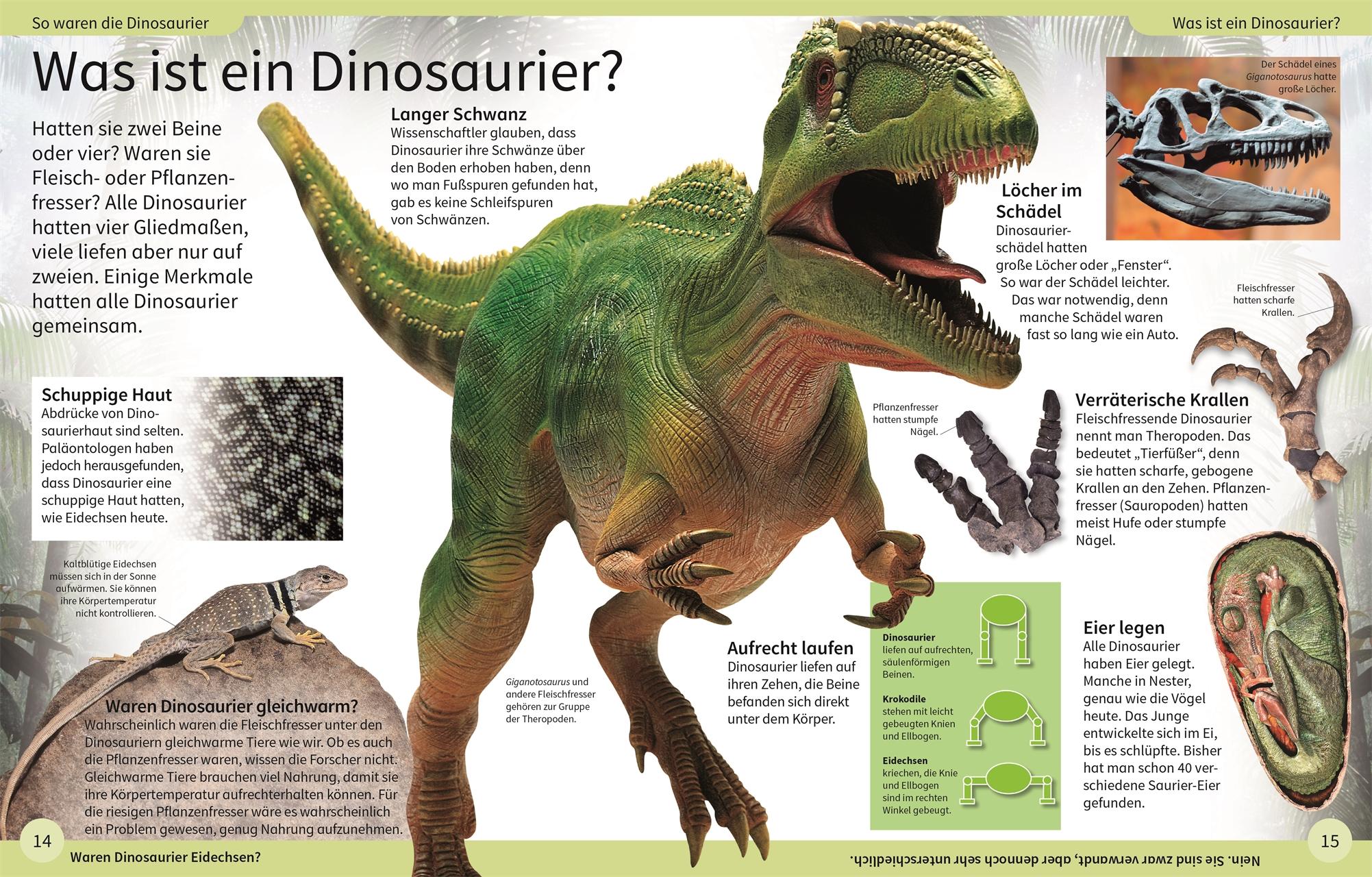 Bild: 9783831044191 | DK Kinderlexikon. Dinosaurier | DK Verlag | Buch | DK Kinderlexikon