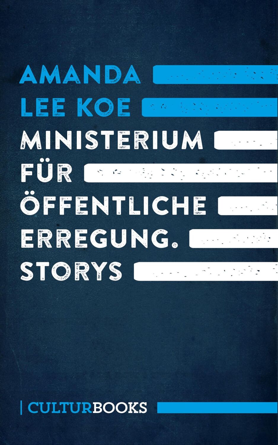 Cover: 9783959880183 | Ministerium für öffentliche Erregung | Storys | Amanda Lee Koe | Buch