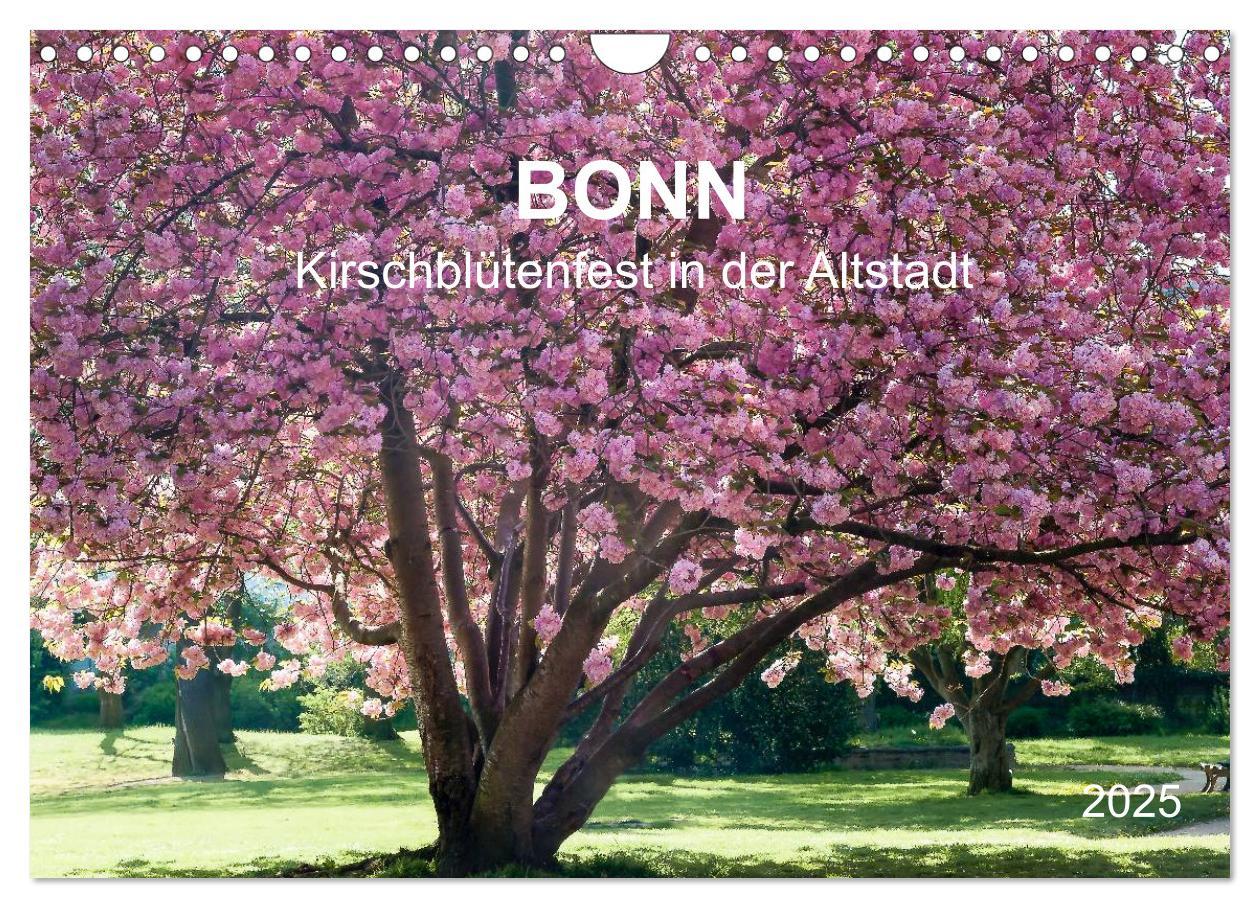 Cover: 9783435611652 | Bonn - Kirschblütenfest in der Altstadt (Wandkalender 2025 DIN A4...