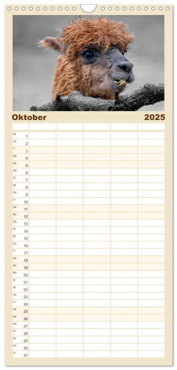 Bild: 9783457116159 | Familienplaner 2025 - Alpaka Gesichter mit 5 Spalten (Wandkalender,...