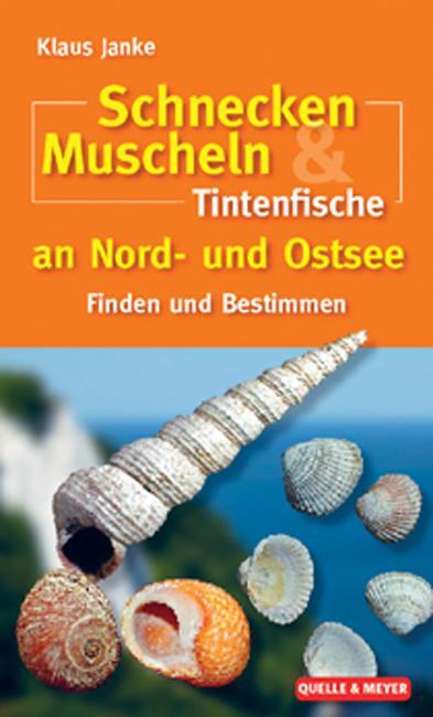 Cover: 9783494014562 | Schnecken, Muscheln &amp; Tintenfische an Nord- und Ostsee | Janke (u. a.)