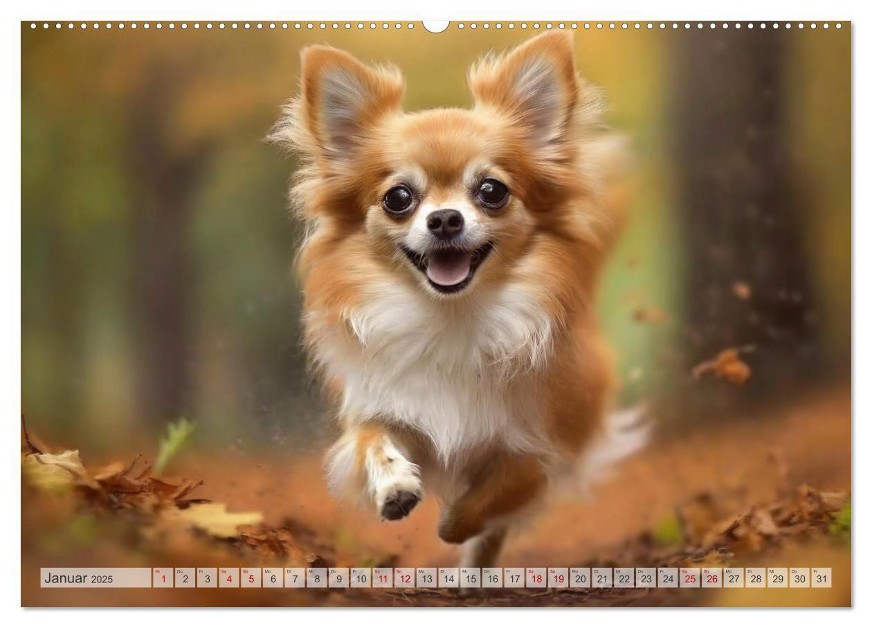 Bild: 9783383811593 | Chihuahuas - Kleine Hunde - große Temperamentbündel (Wandkalender...