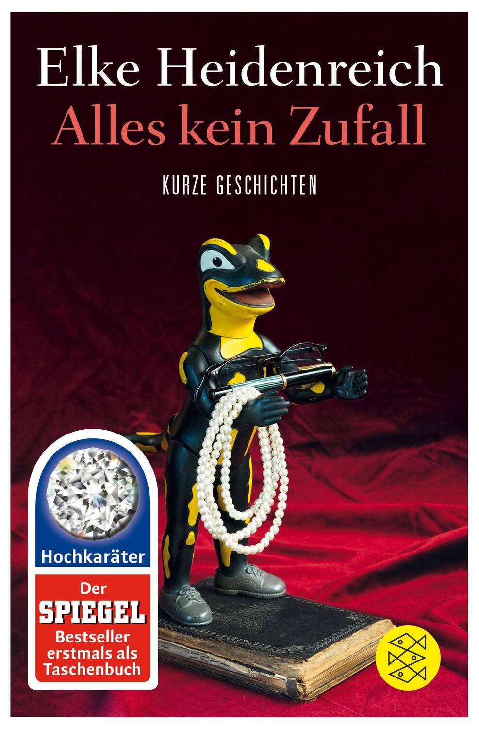 Cover: 9783596296507 | Alles kein Zufall | Kurze Geschichten | Elke Heidenreich | Taschenbuch