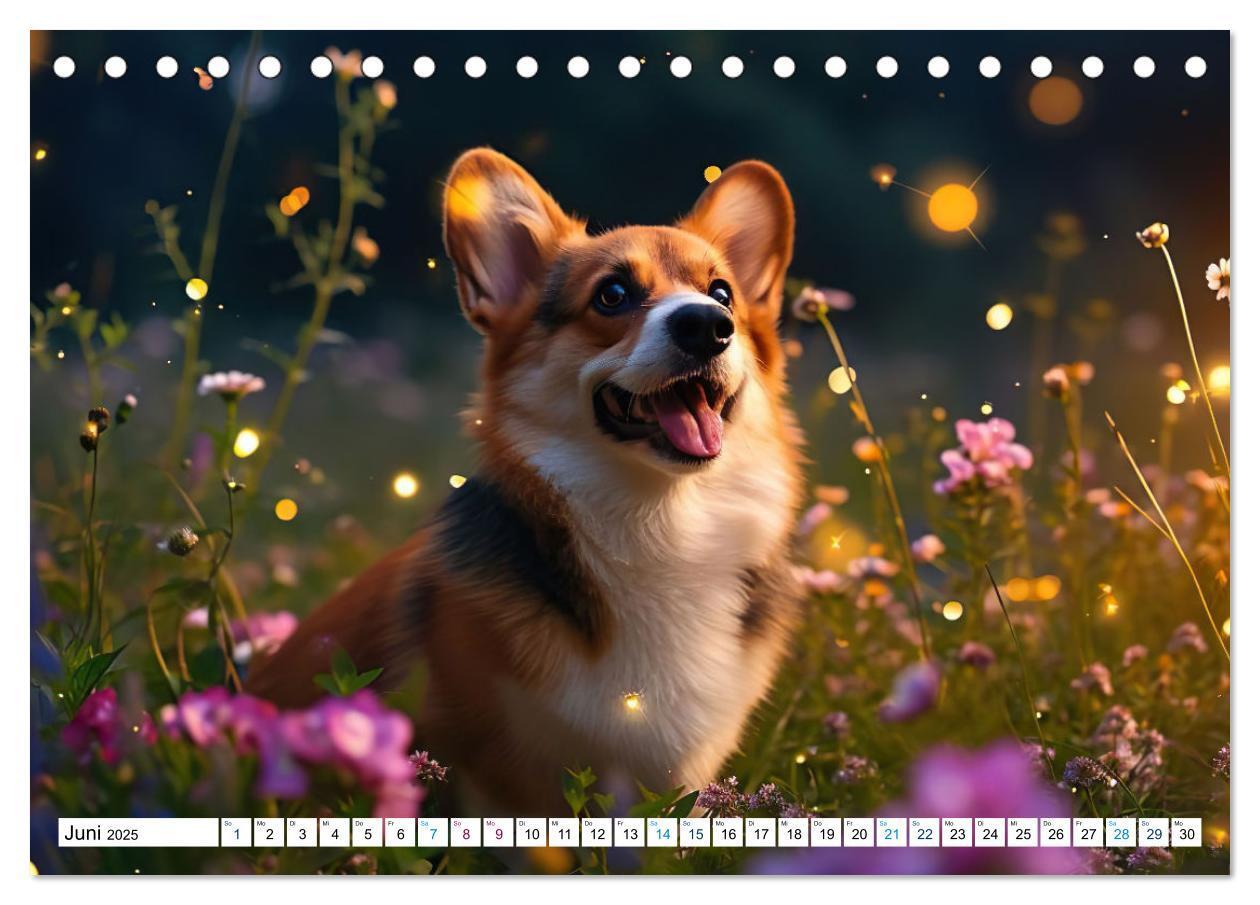 Bild: 9783383776137 | Happy Corgis (Tischkalender 2025 DIN A5 quer), CALVENDO Monatskalender