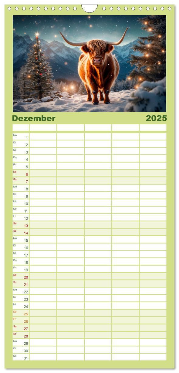 Bild: 9783457135563 | Familienplaner 2025 - Highland Kühe mit 5 Spalten (Wandkalender, 21...