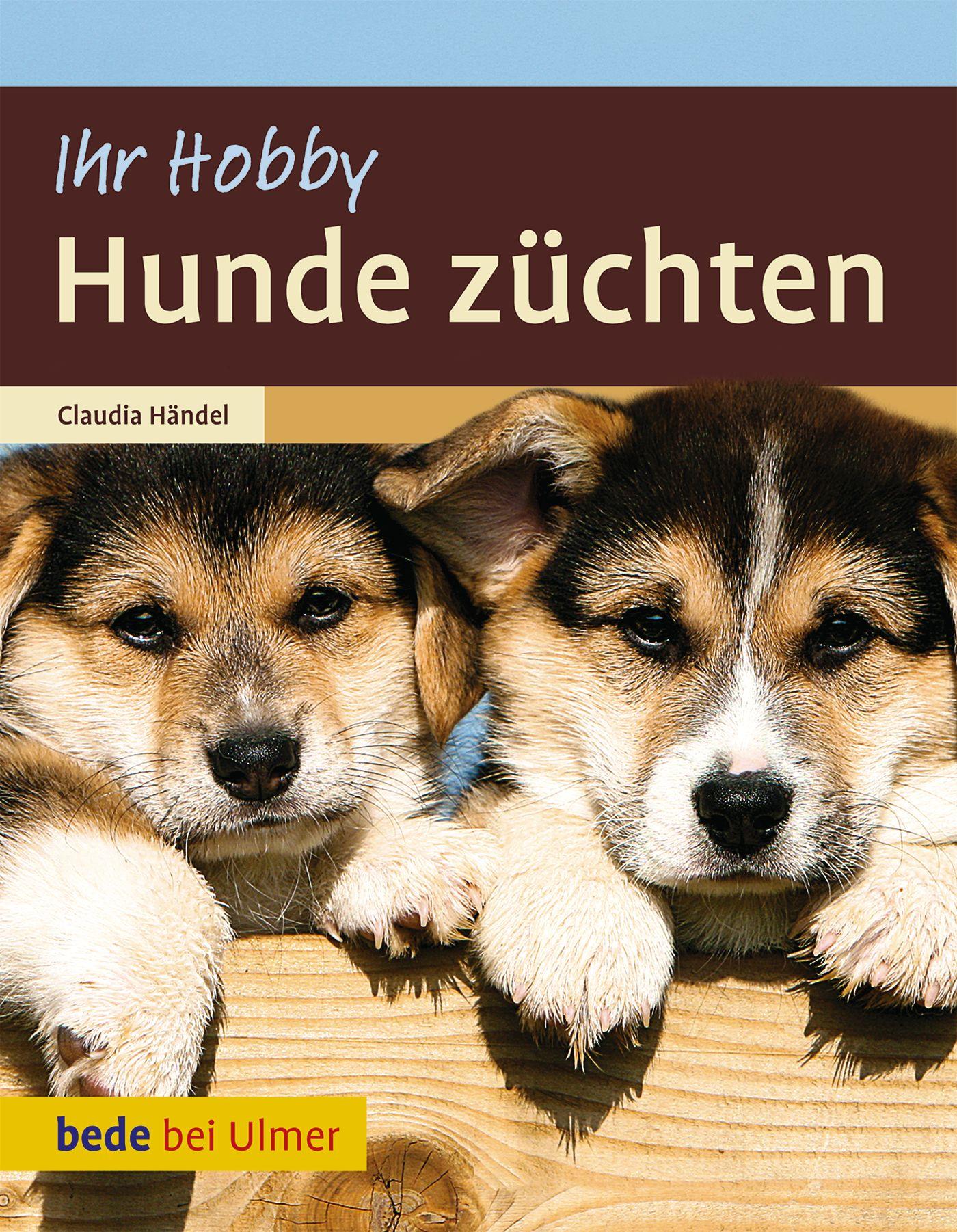 Cover: 9783800176175 | Hunde züchten | Claudia Händel | Buch | bede bei Ulmer | 96 S. | 2011