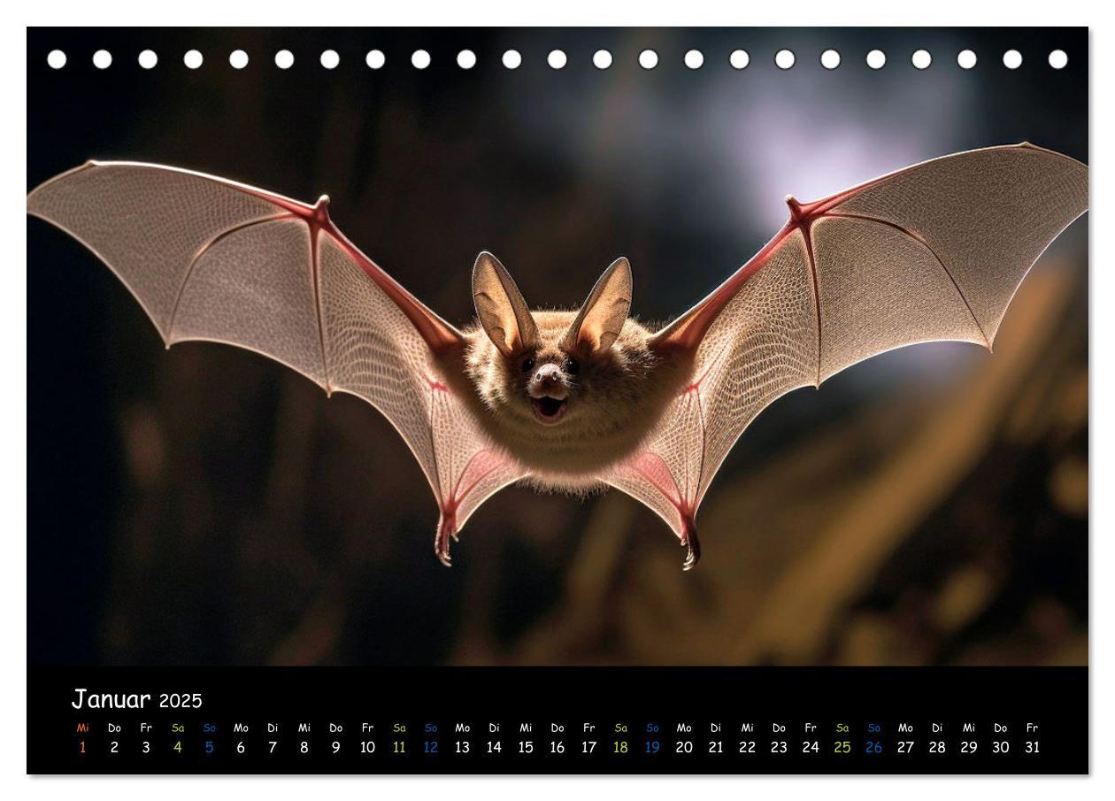 Bild: 9783457184240 | Fledermäuse - kleine Vampire (Tischkalender 2025 DIN A5 quer),...