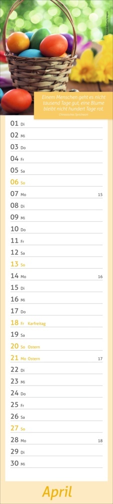 Bild: 9783756406715 | Tage voller Glück Langplaner 2025 | Kalender | Spiralbindung | 13 S.