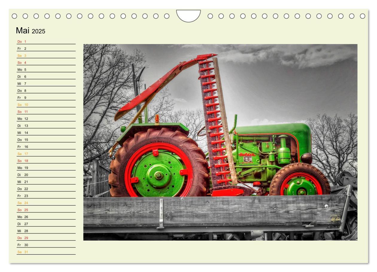 Bild: 9783435586738 | Traktoren - Oldtimer (Wandkalender 2025 DIN A4 quer), CALVENDO...