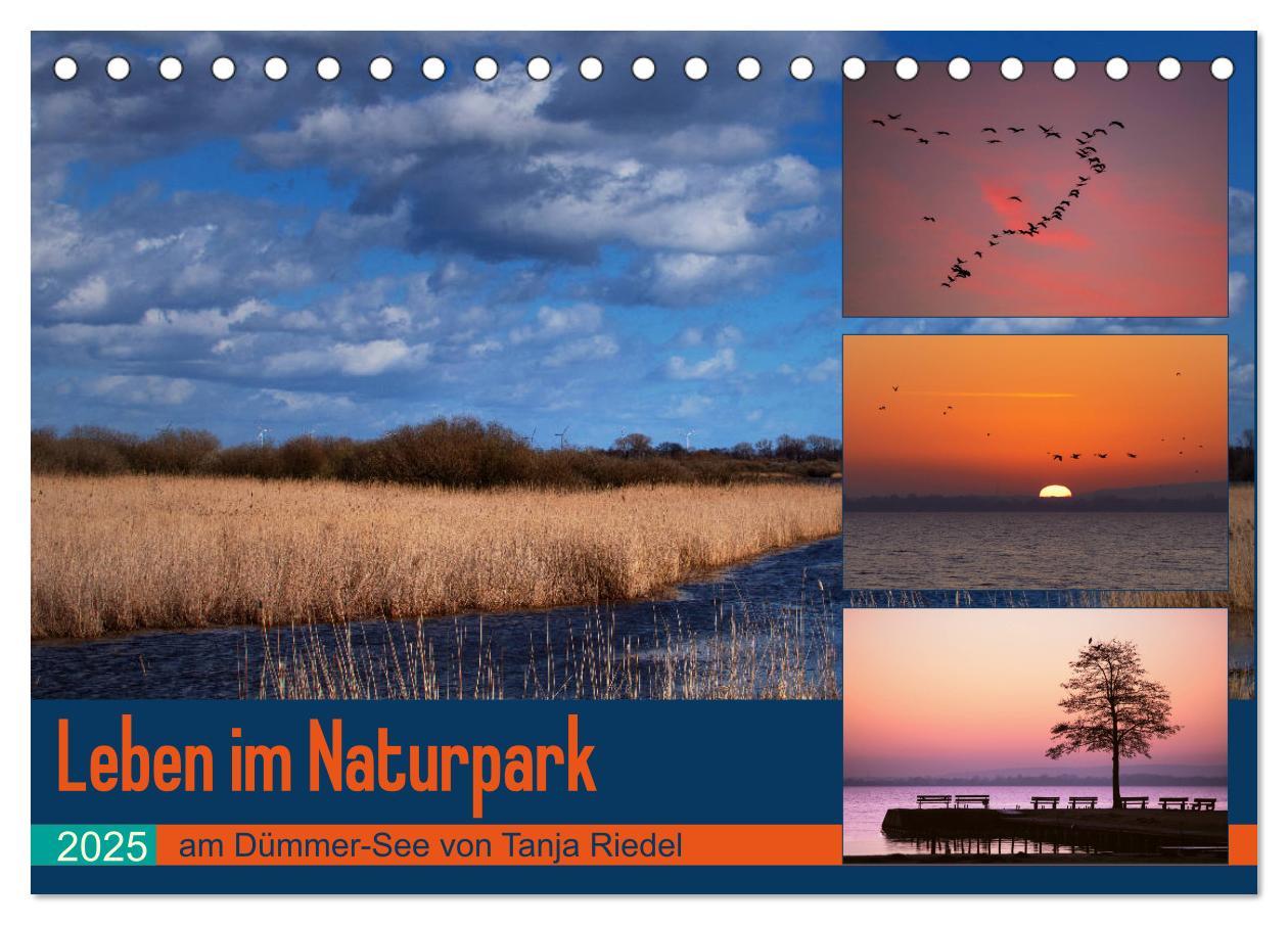 Cover: 9783435156900 | Leben am Naturpark um den Dümmer See (Tischkalender 2025 DIN A5...