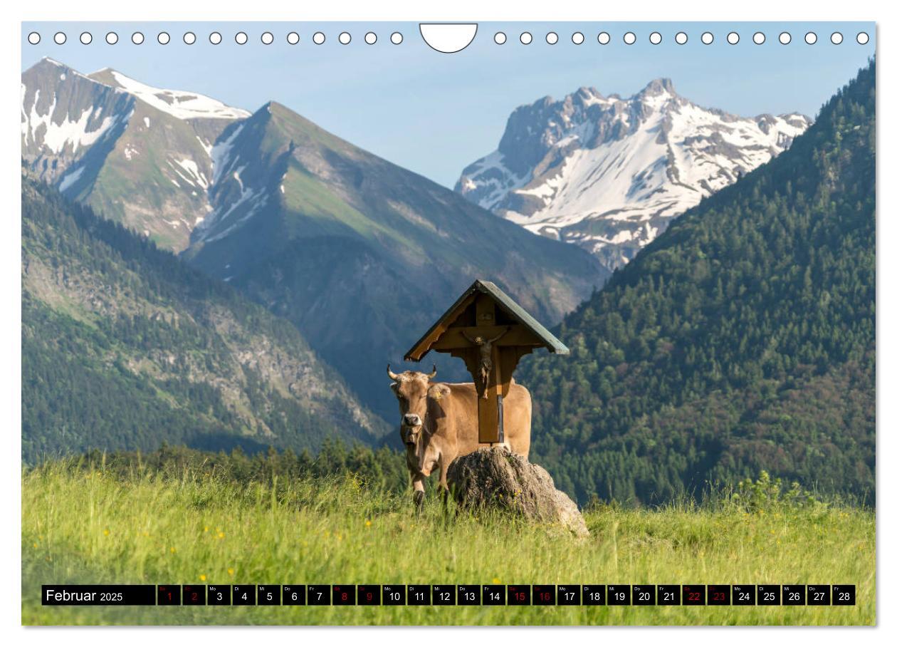 Bild: 9783435411580 | Oberstdorf und Umgebung (Wandkalender 2025 DIN A4 quer), CALVENDO...