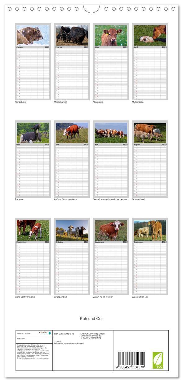 Bild: 9783457104378 | Familienplaner 2025 - Kuh und Co. mit 5 Spalten (Wandkalender, 21 x...