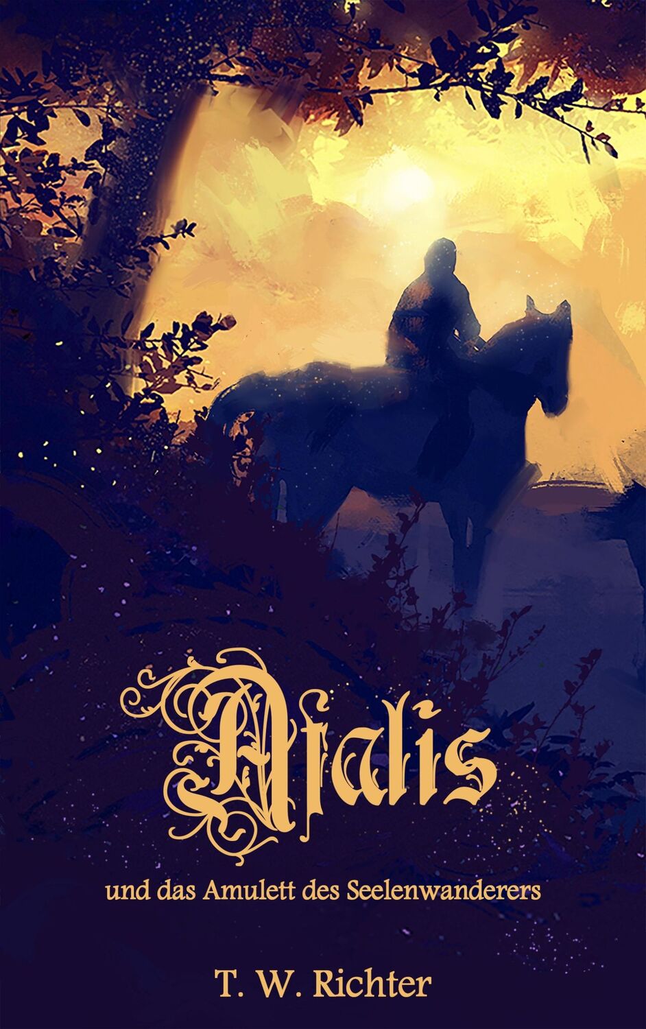 Cover: 9783748180944 | Afalis und das Amulett des Seelenwanderers | T. W. Richter | Buch