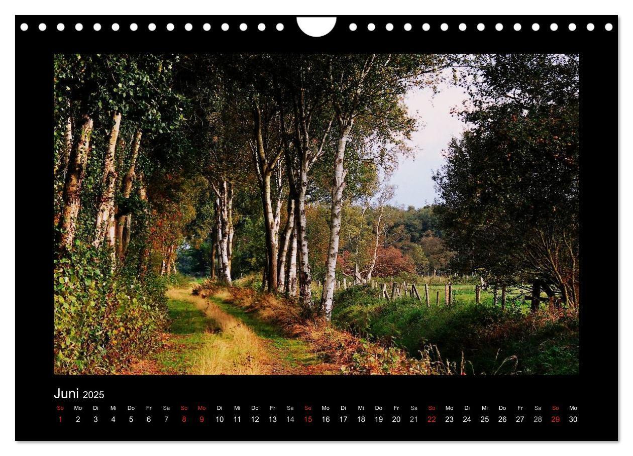 Bild: 9783435732074 | Landschaft Teufelsmoor / 2025 (Wandkalender 2025 DIN A4 quer),...