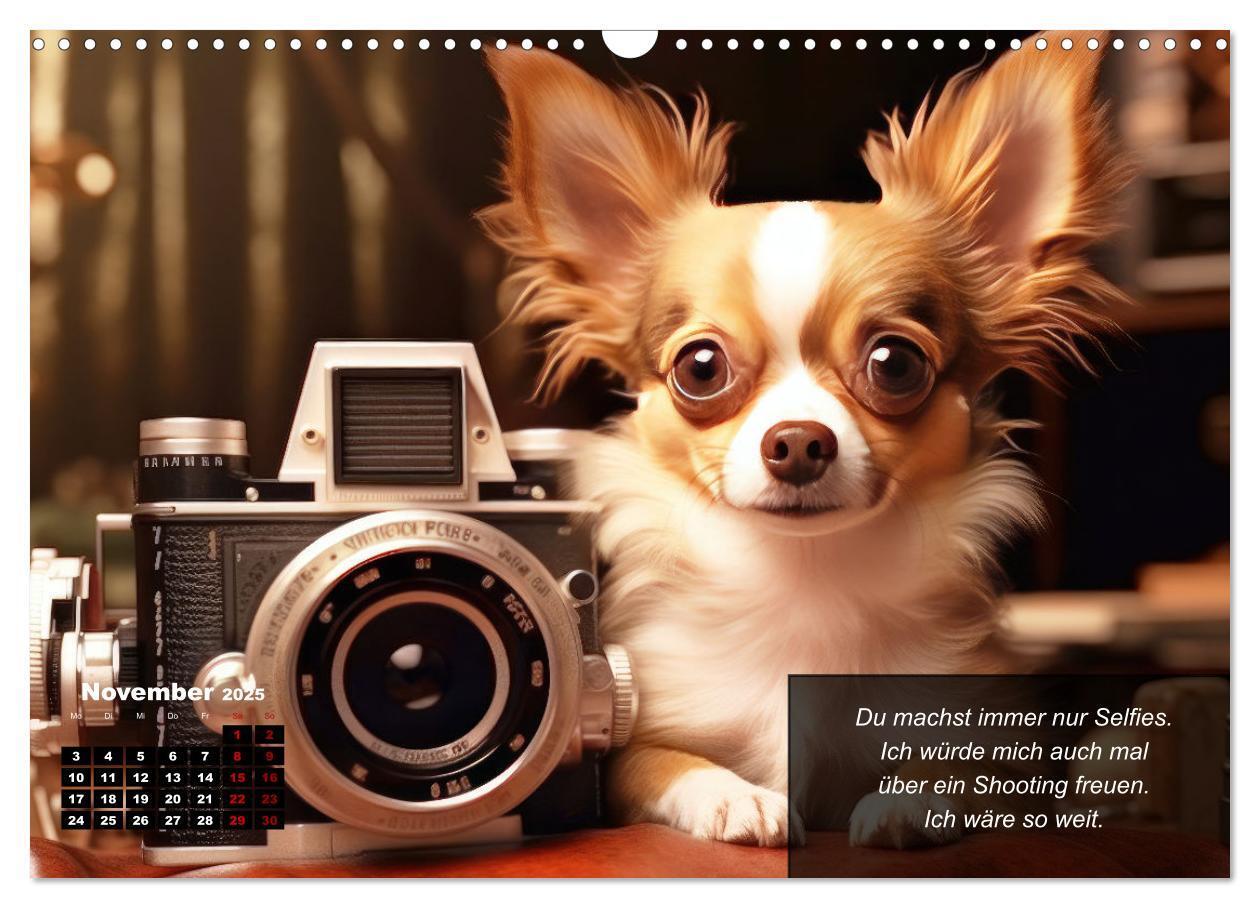 Bild: 9783457129425 | Lustige Chihuahua-Momente (Wandkalender 2025 DIN A3 quer), CALVENDO...