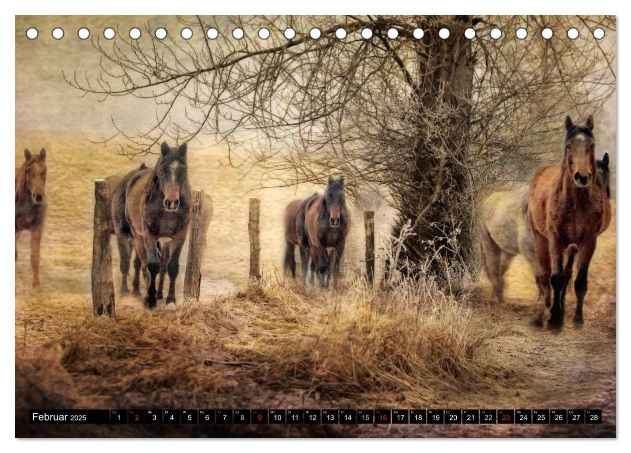 Bild: 9783435489121 | Western und Pferde (Tischkalender 2025 DIN A5 quer), CALVENDO...