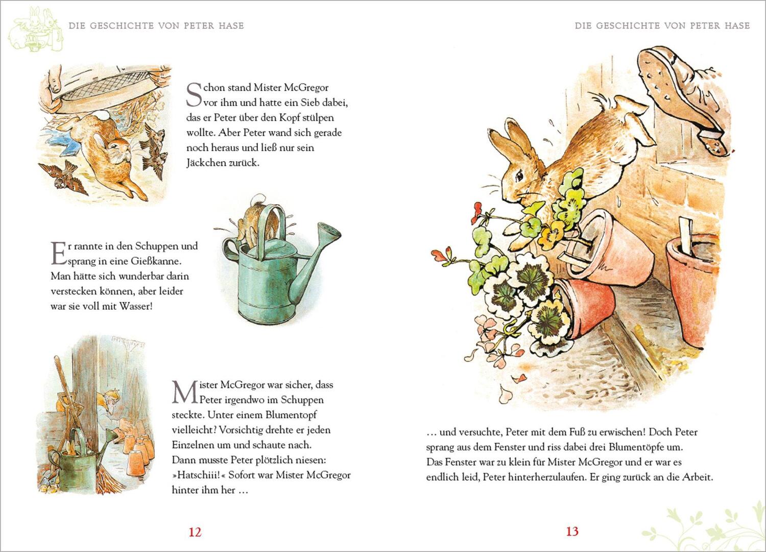 Bild: 9783730607169 | Peter Hase und Benjamin Häschen | Beatrix Potter | Buch | 32 S. | 2019