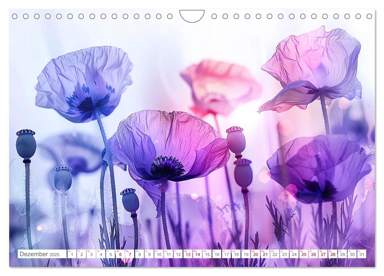 Bild: 9783383814549 | Bezaubernde Mohnblumen (Wandkalender 2025 DIN A4 quer), CALVENDO...