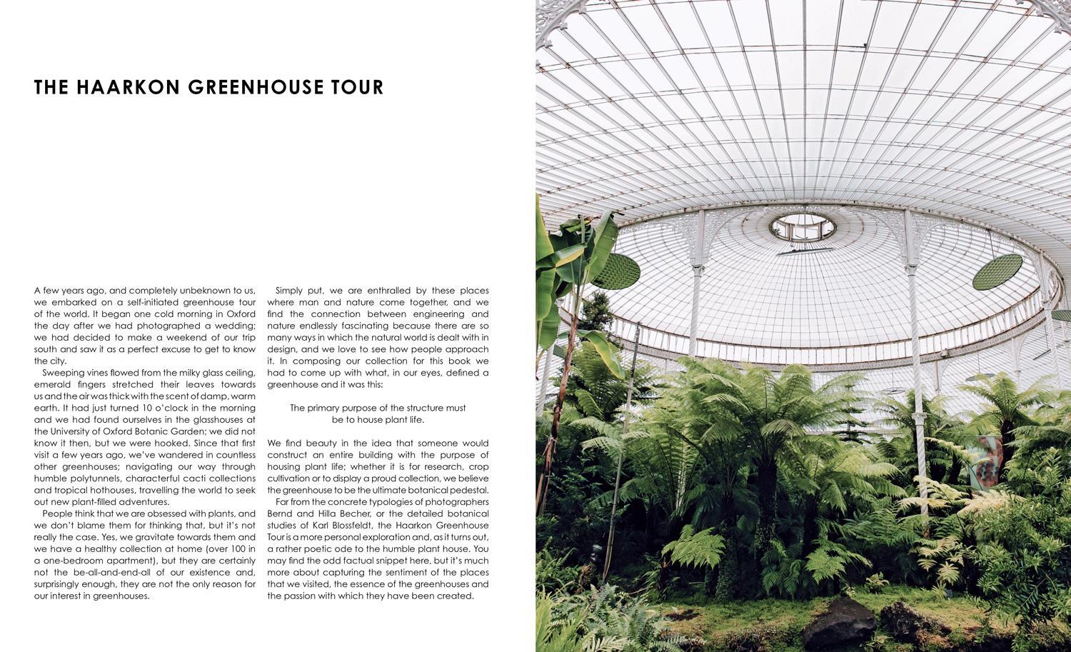 Bild: 9781911595694 | Glasshouse Greenhouse | India Hobson (u. a.) | Buch | Gebunden | 2018