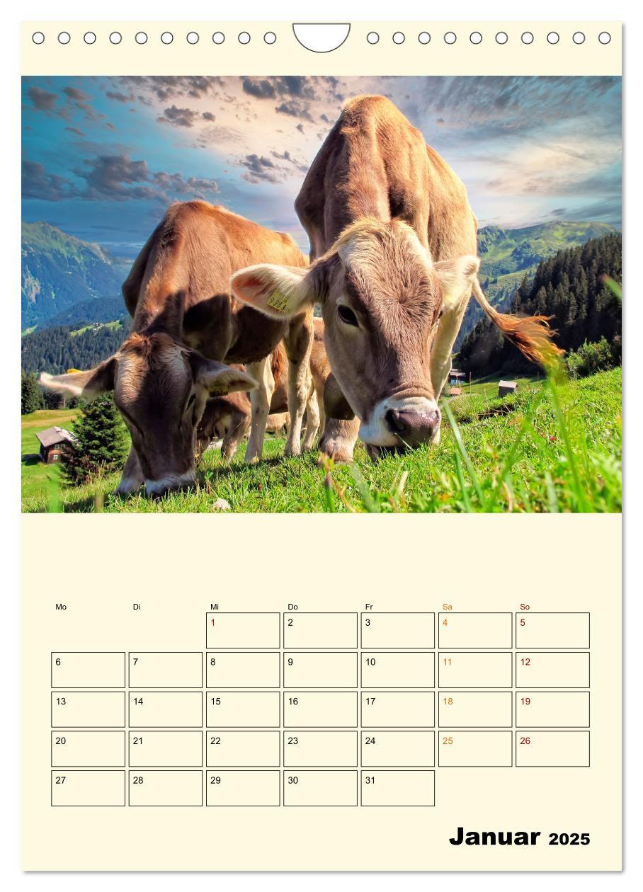 Bild: 9783435904358 | Glückliche Bergkühe (Wandkalender 2025 DIN A4 hoch), CALVENDO...