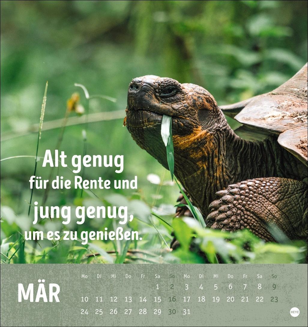 Bild: 9783756407187 | Alt! Aber gut drauf Postkartenkalender 2025 - Der tierische...