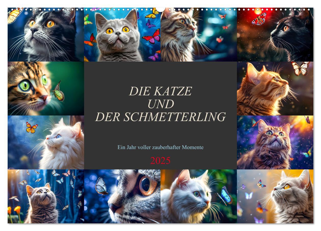 Cover: 9783383862618 | Die Katze und der Schmetterling (Wandkalender 2025 DIN A2 quer),...