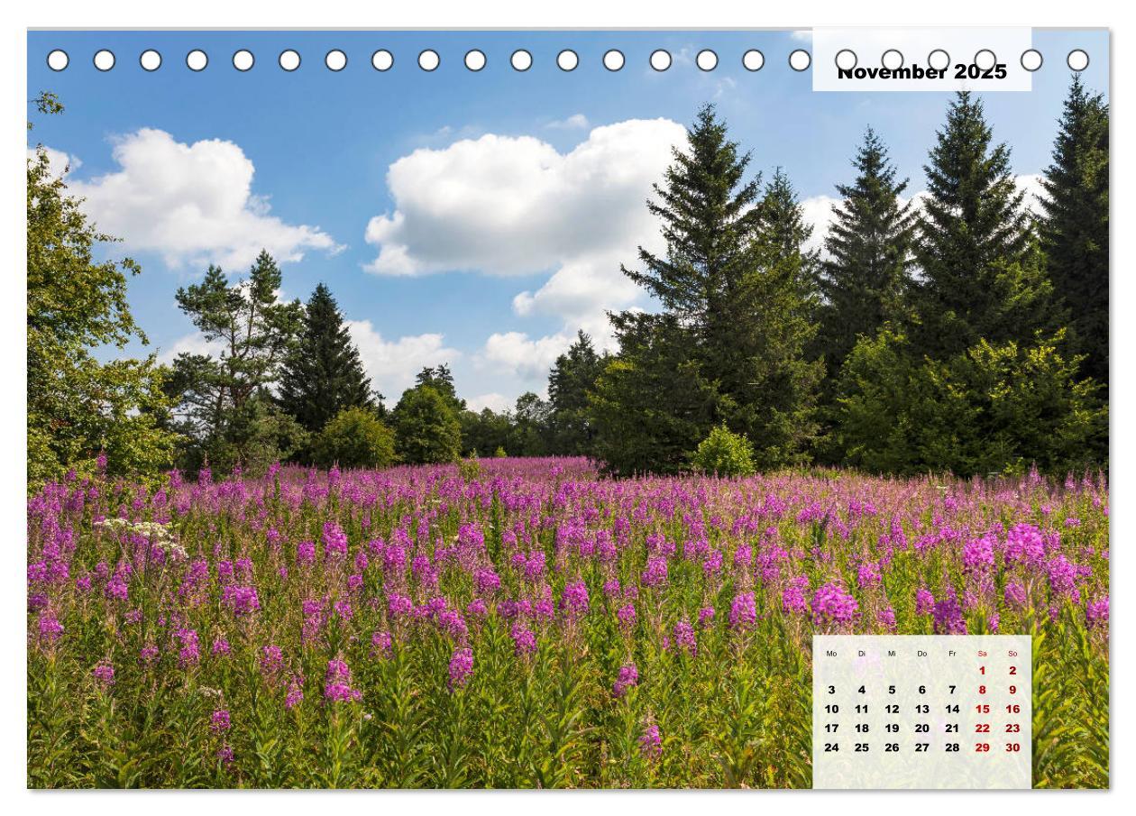 Bild: 9783435304233 | Rhöner Röschen - ein Sommermärchen in der Hochrhön (Tischkalender...