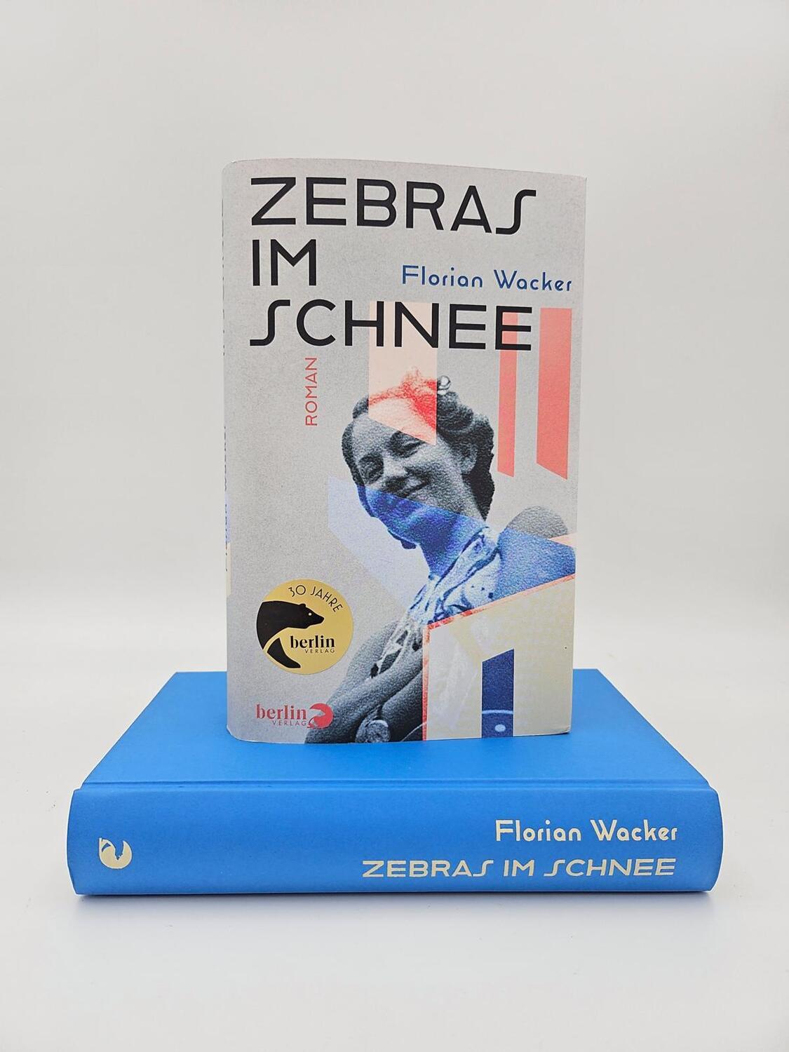 Bild: 9783827014863 | Zebras im Schnee | Roman SPIEGEL-Bestseller | Florian Wacker | Buch