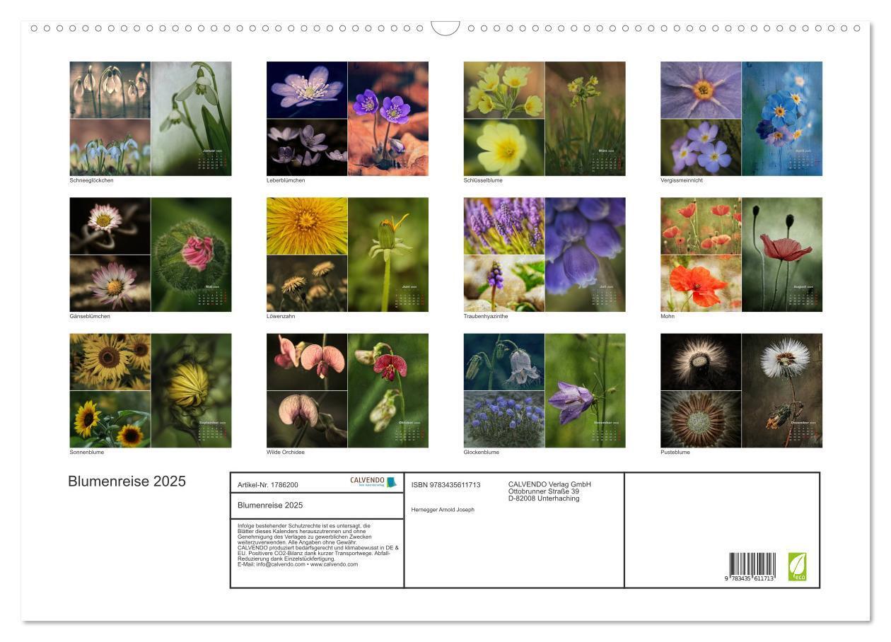 Bild: 9783435611713 | Blumenreise 2025 (Wandkalender 2025 DIN A2 quer), CALVENDO...