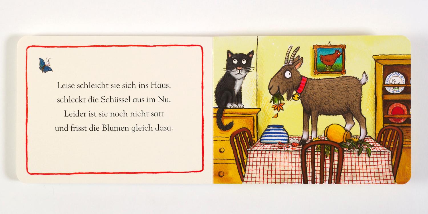 Bild: 9783407758453 | Zick die Ziege | Vierfarbiges Pappbilderbuch | Axel Scheffler | Buch