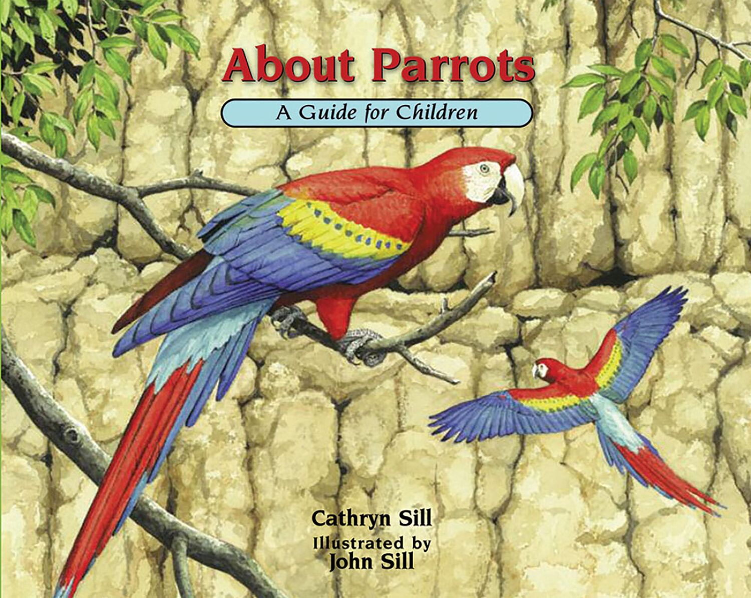 Cover: 9781682631584 | About Parrots | A Guide for Children | Cathryn Sill | Taschenbuch