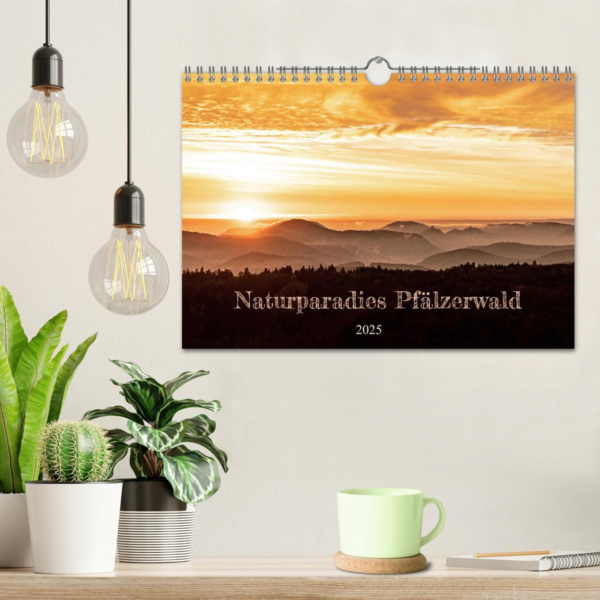 Bild: 9783383940200 | Naturparadies Pfälzerwald (Wandkalender 2025 DIN A4 quer), CALVENDO...