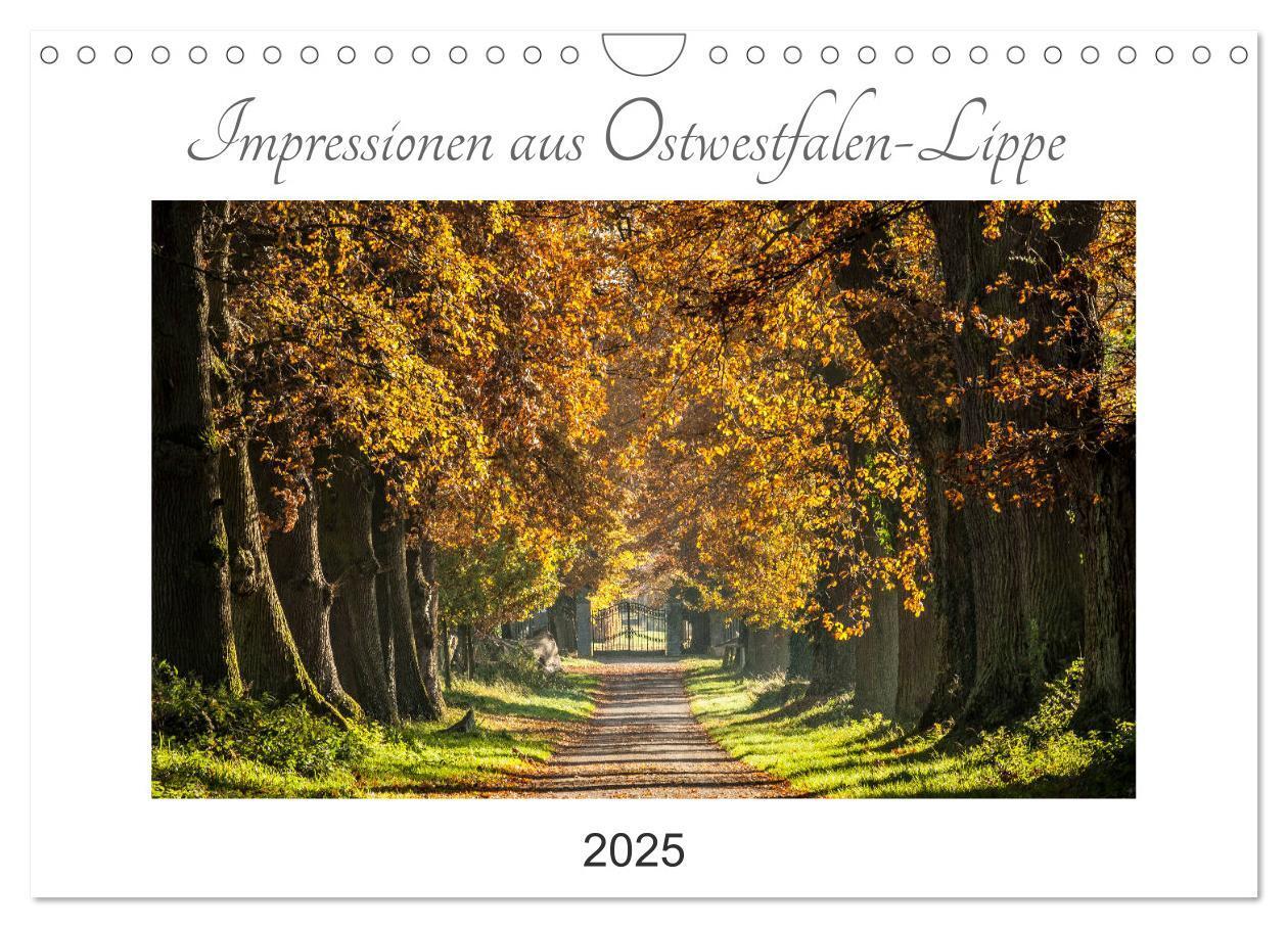 Cover: 9783435156207 | Impressionen aus Ostwestfalen-Lippe (Wandkalender 2025 DIN A4...