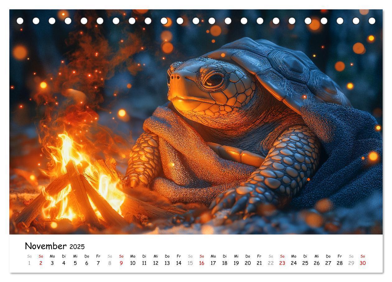 Bild: 9783457215890 | CHILL MAL - Entspannte Schildkröten beim Faulenzen (Tischkalender...